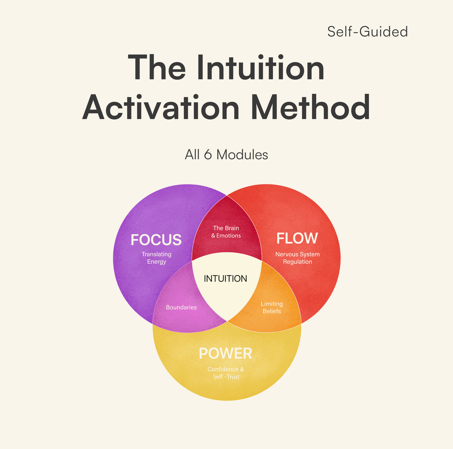 The Intuition Activation Method - All Modules